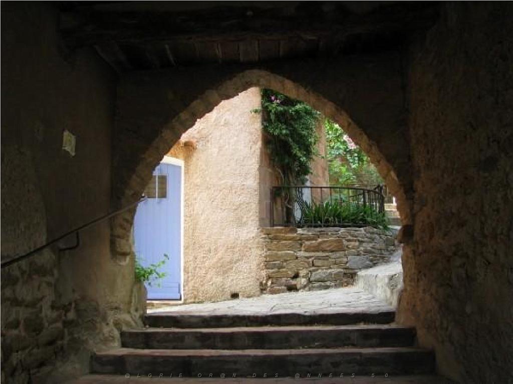 183 D24 BORMES LES MIMOSAS 2_000039.jpg
